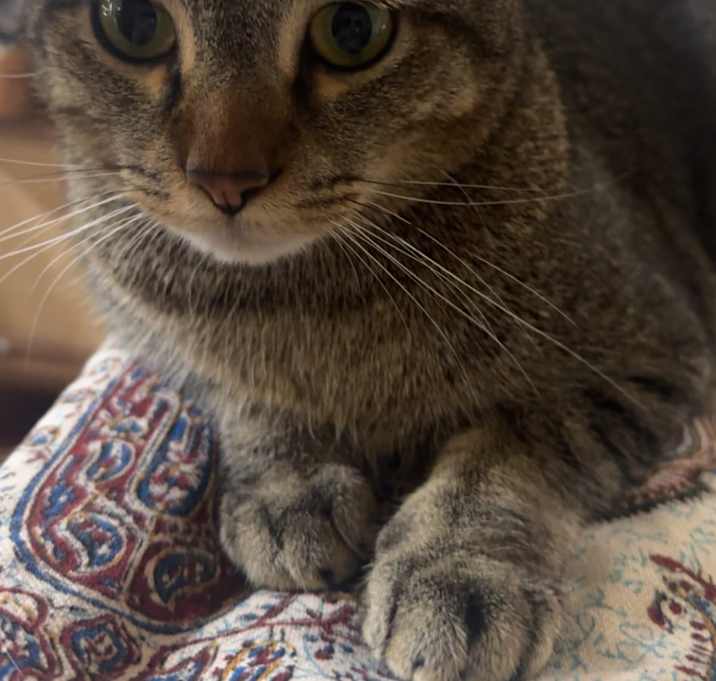 Photo of Max