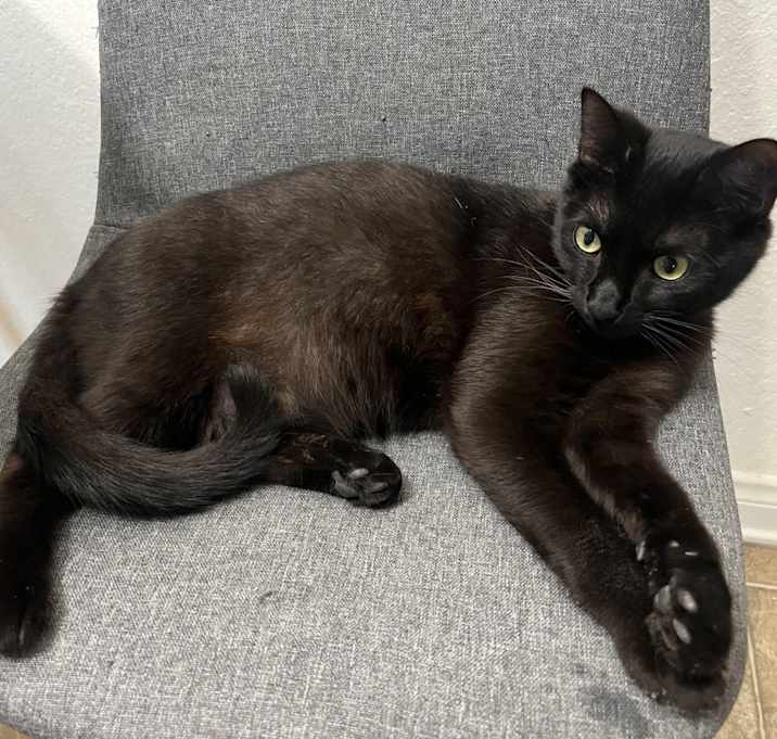Photo of Toast