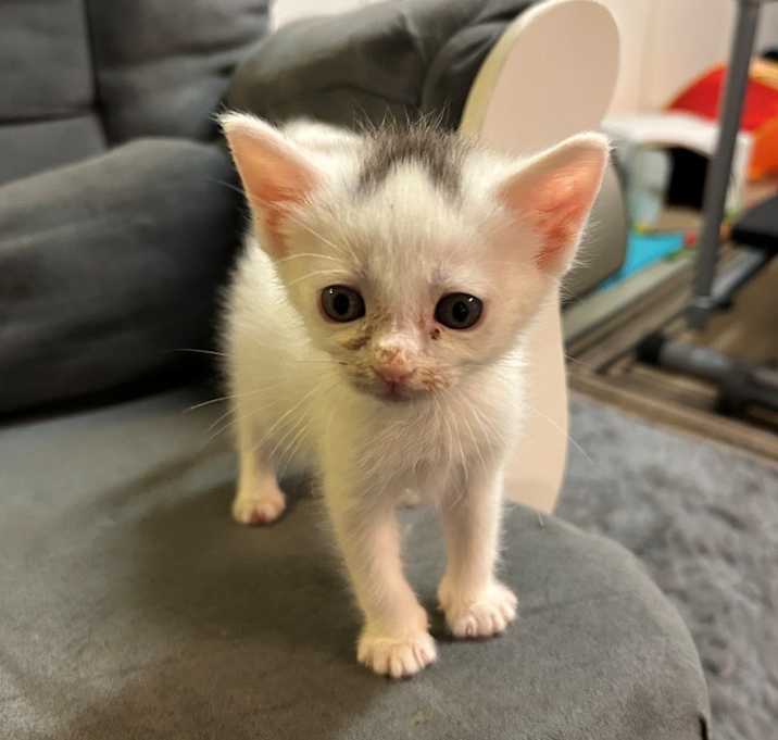 Photo of Desirae