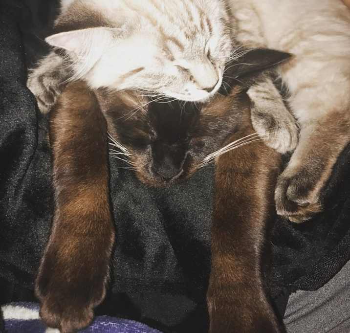 Photo of Penelope