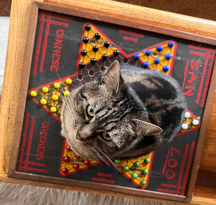 Photo of Zoe