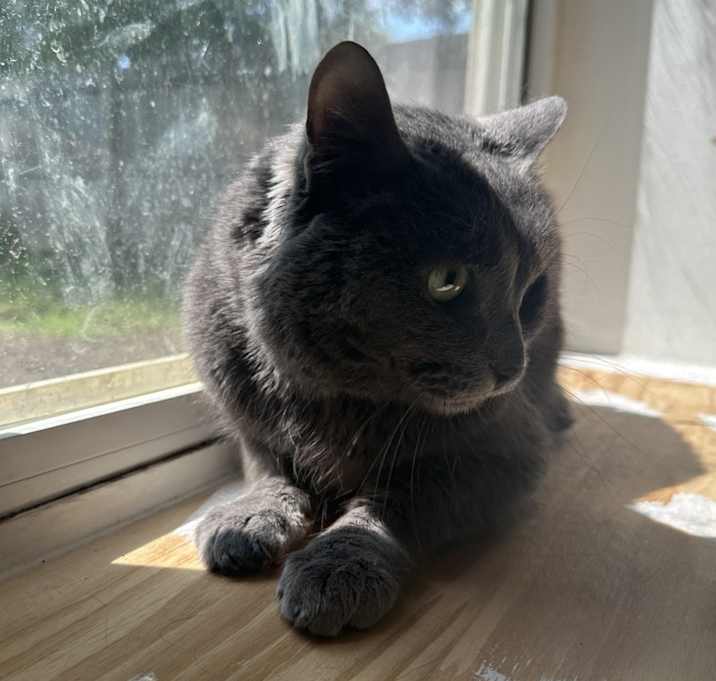Photo of Echo