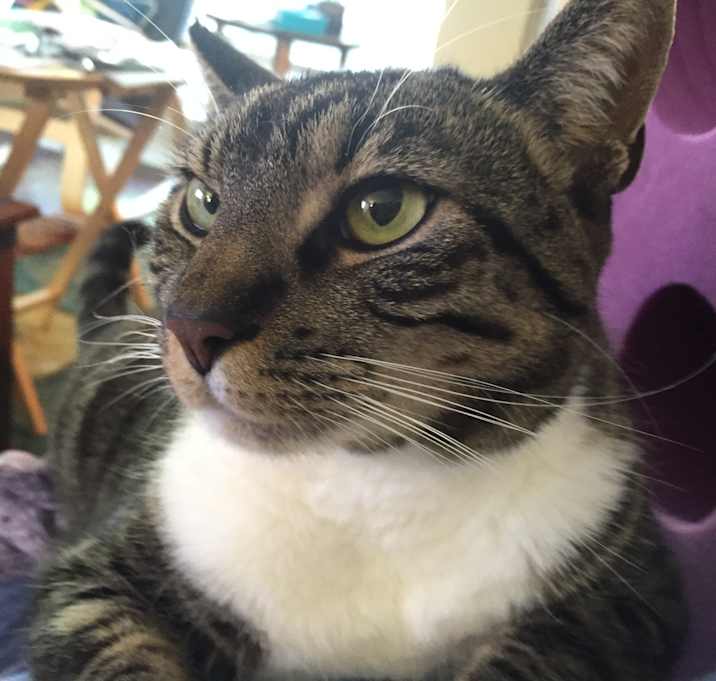 Photo of Jasper