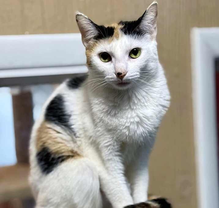 Photo of Liliana
