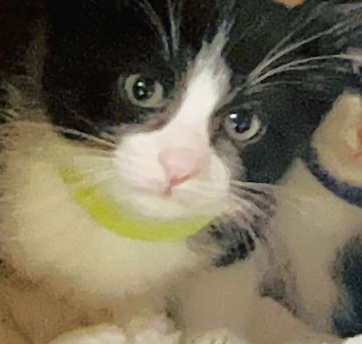 Photo of Theo