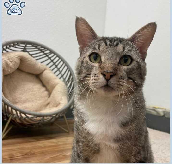 Photo of *BENSON