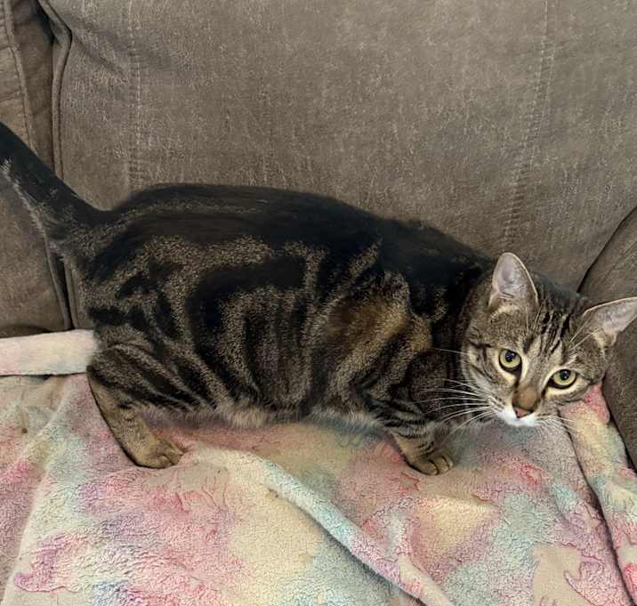 Photo of Leo