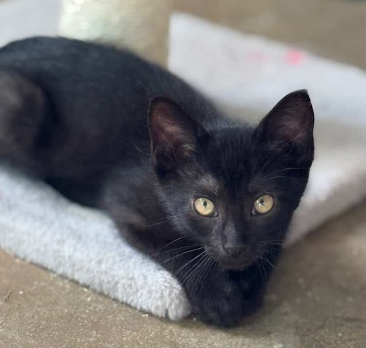 Photo of Junior