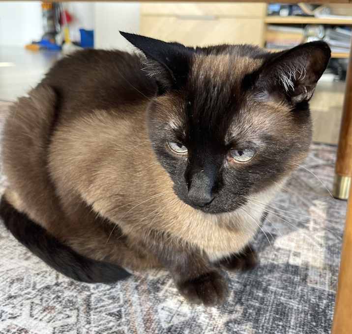 Photo of Blessing