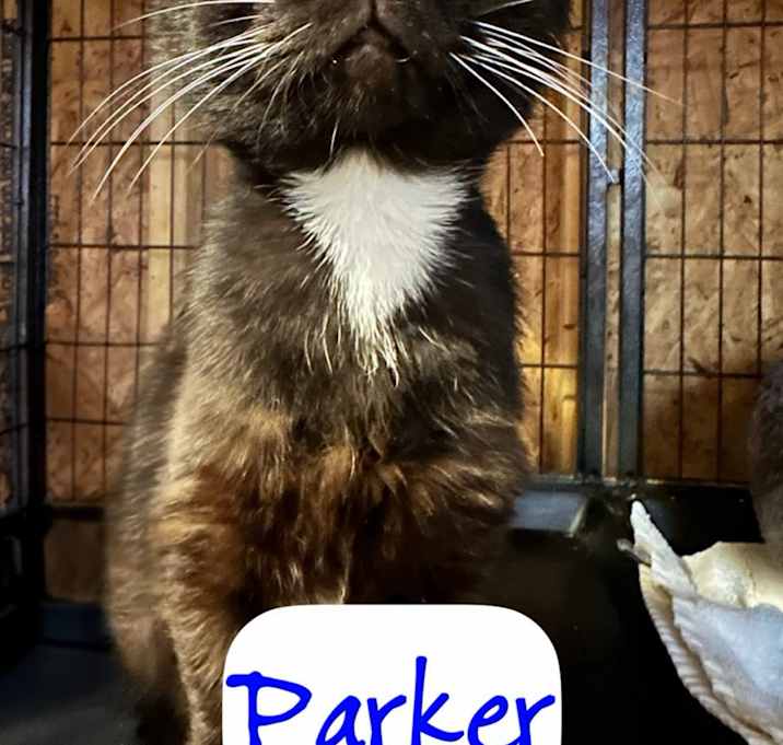 Photo of Parker