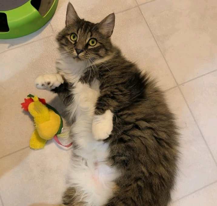Photo of Sassy