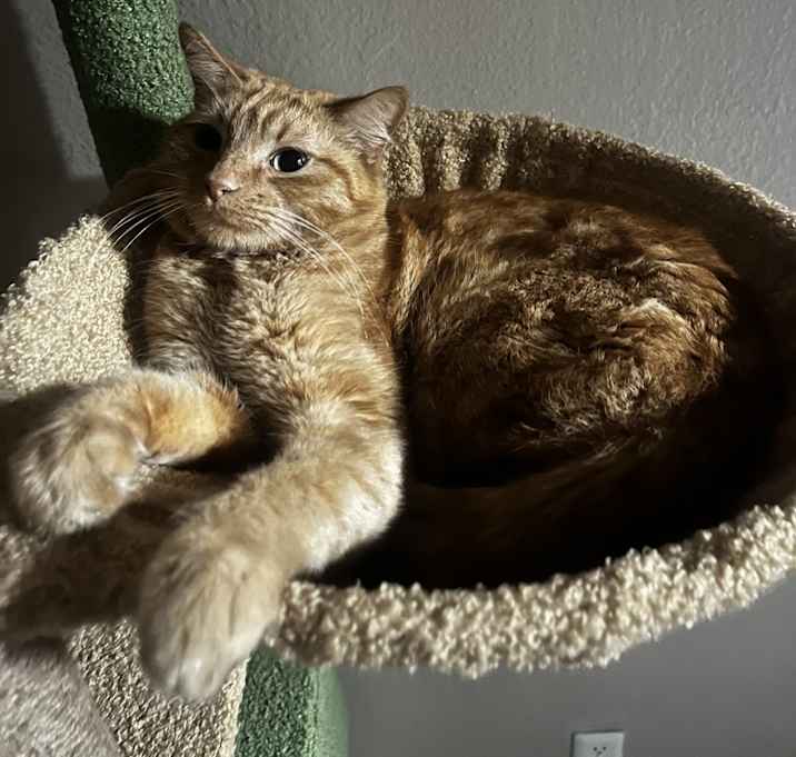 Photo of Miss Mama