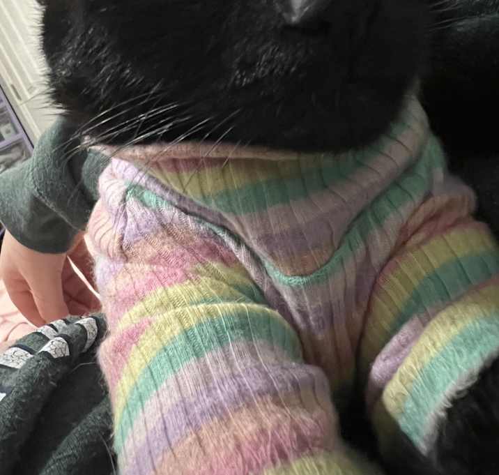 Photo of Marnie