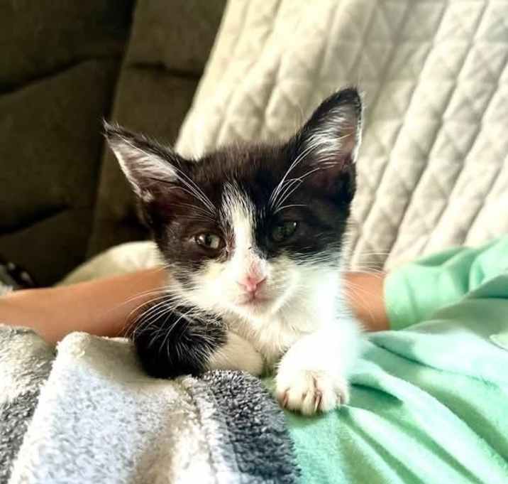 Photo of Rayne