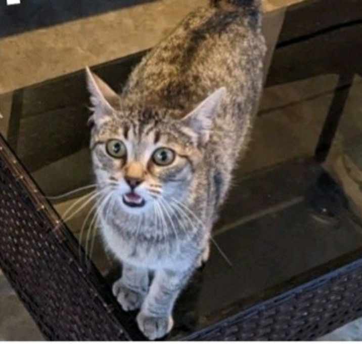 Photo of Mama