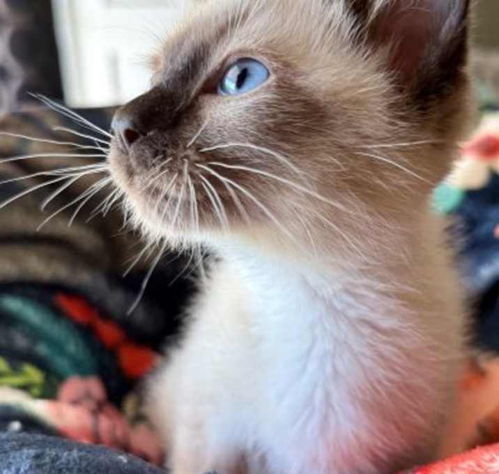 Photo of Truffles