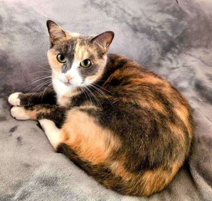 Photo of KITTY CHARLENE