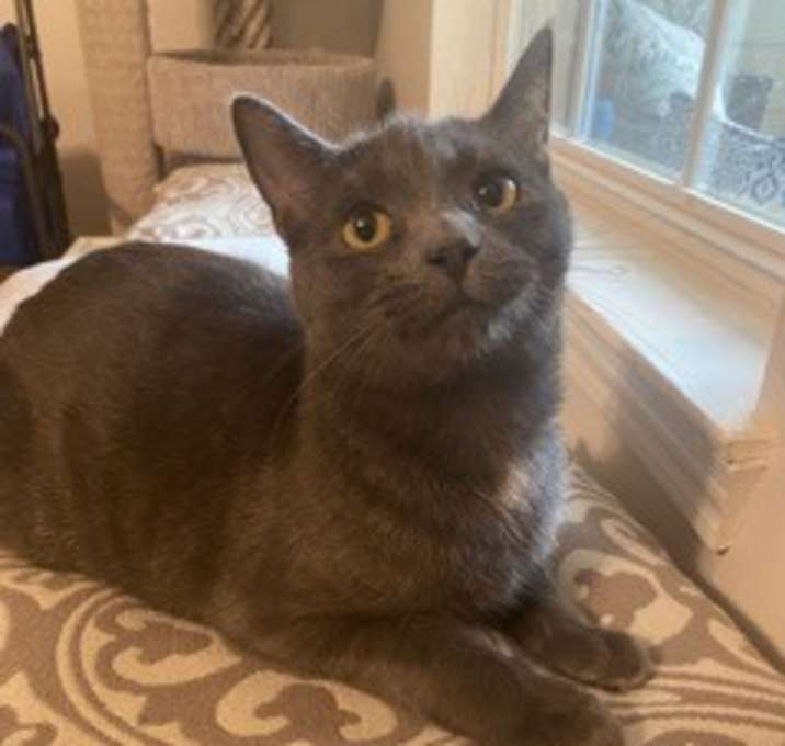 Photo of Belle