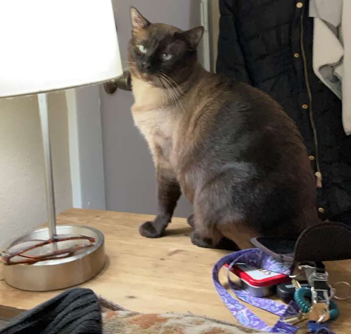 Photo of Jack