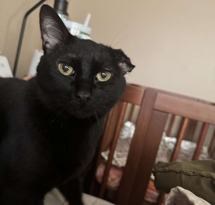 Photo of Salem