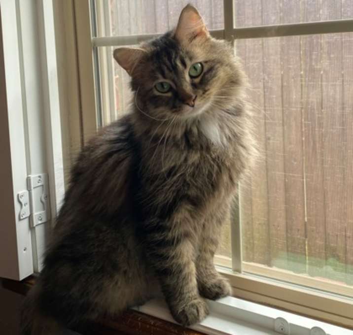 Photo of Wesley