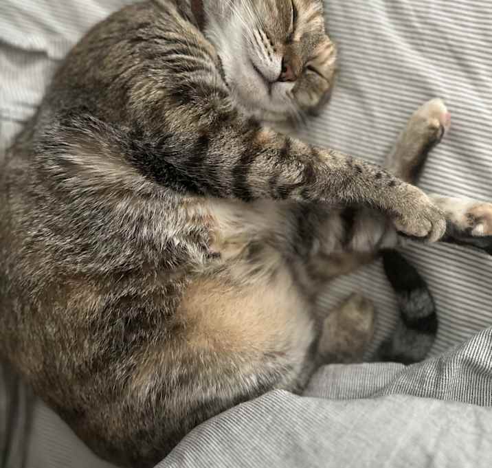 Photo of Athena