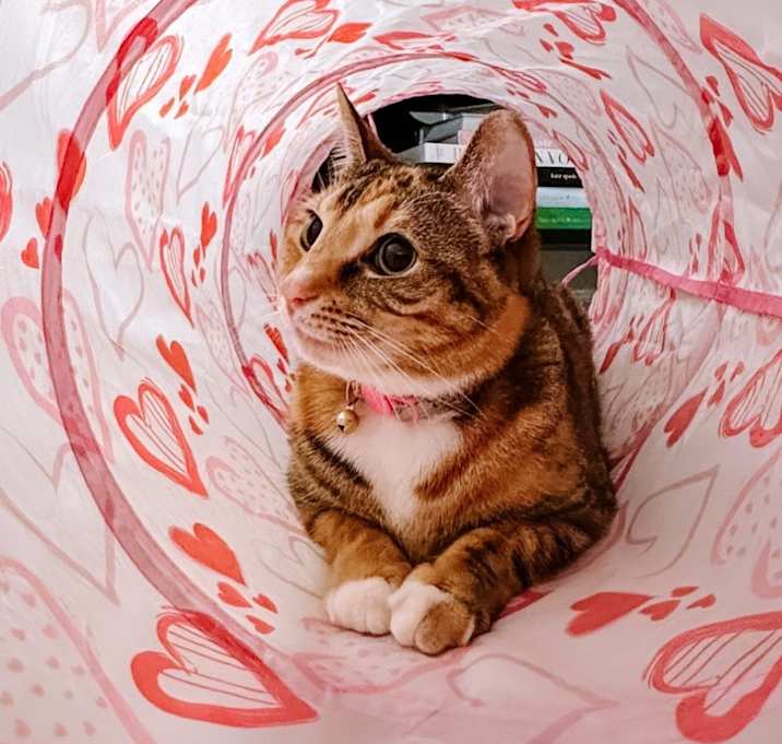 Photo of Cali