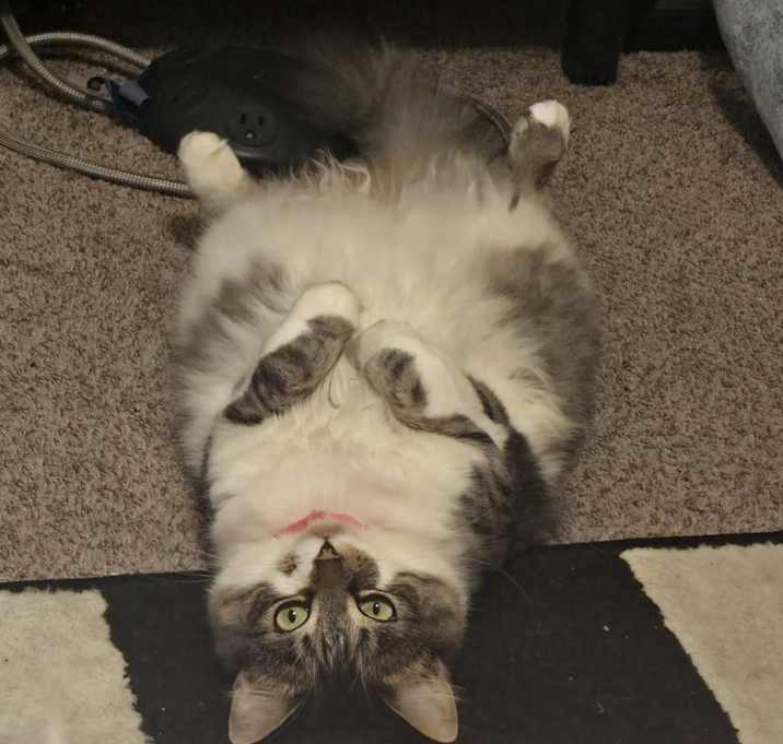 Photo of Oonie