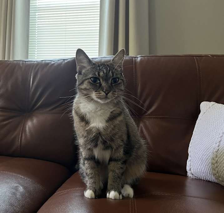Photo of Alice