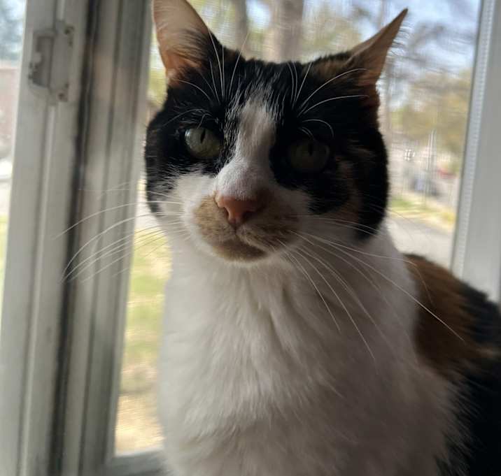 Photo of Evie