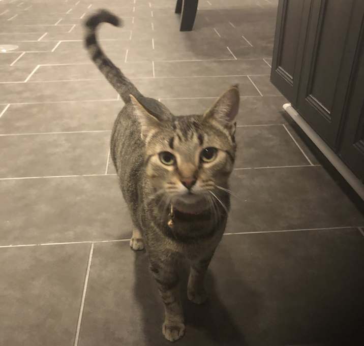 Photo of Ruby