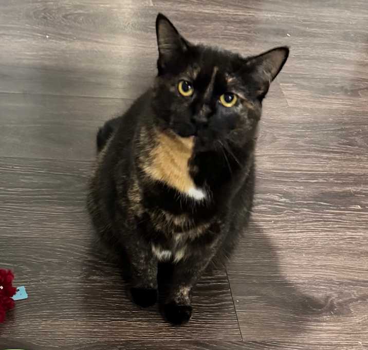 Photo of Millie