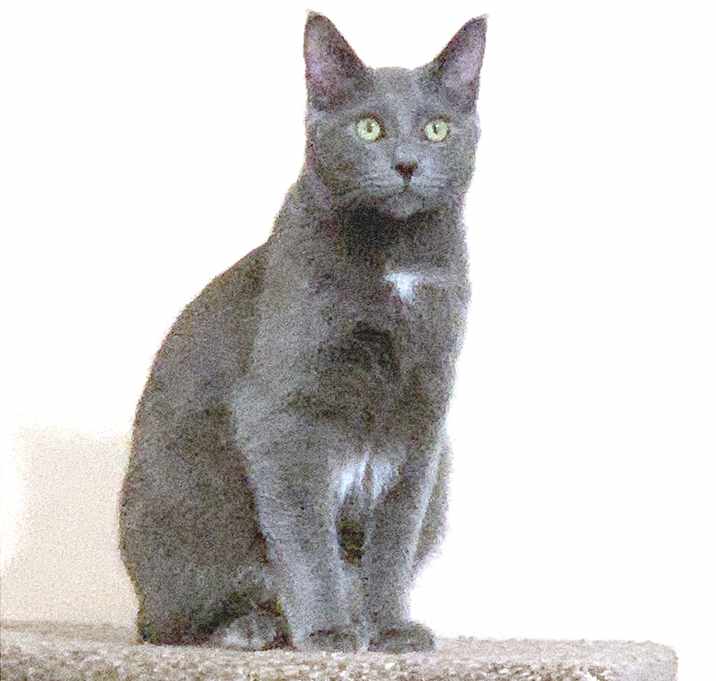 Photo of Twilight