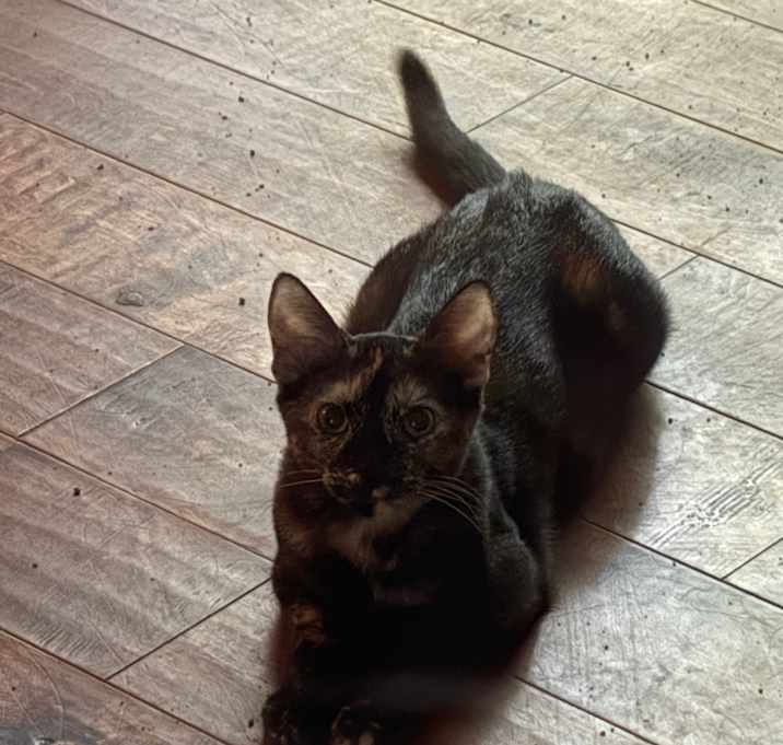 Photo of Sandy