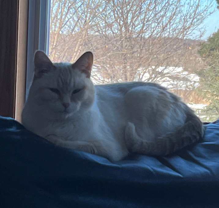 Photo of Figgy