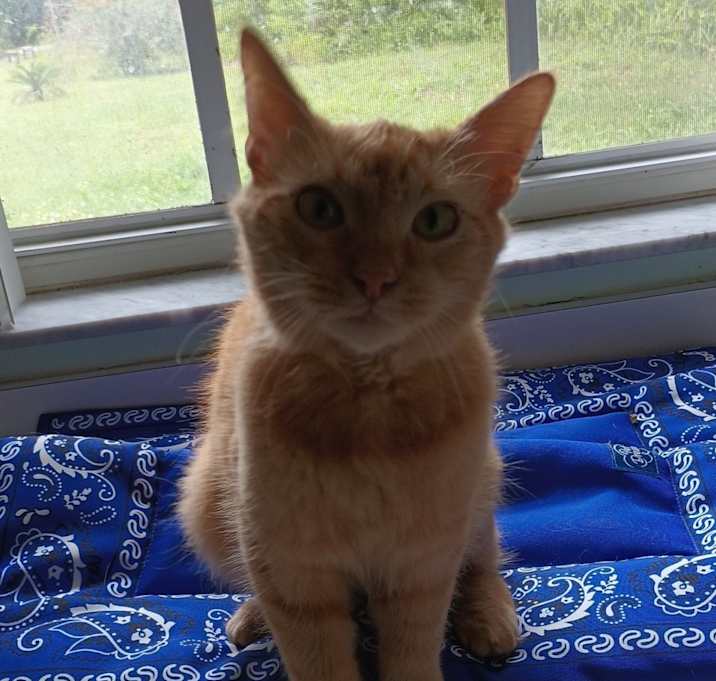 Photo of Gerbert