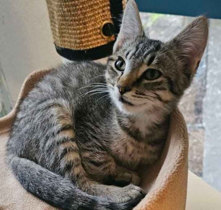 Photo of Tobias
