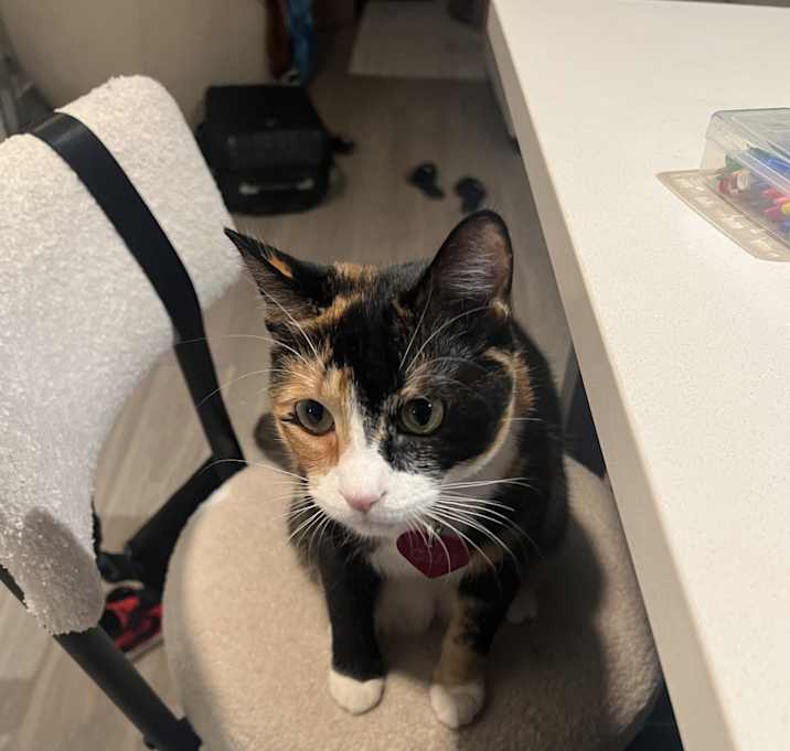 Photo of Chloe