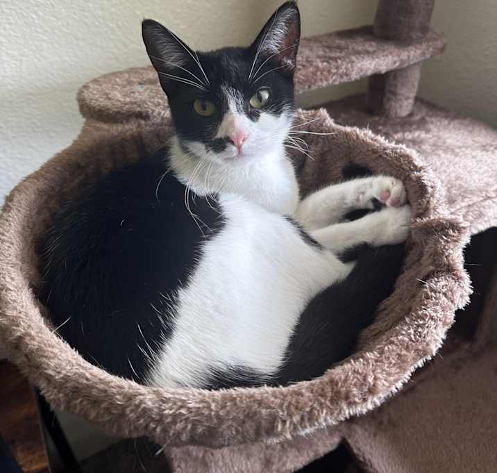 Photo of Rosie
