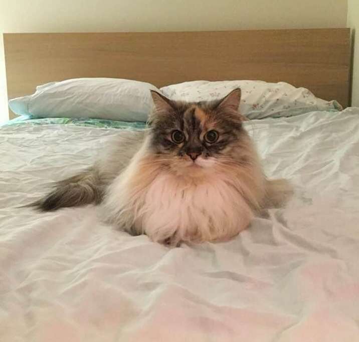 Photo of Lilly P.