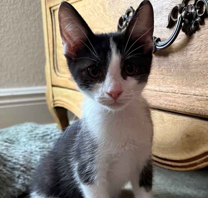 Photo of Max