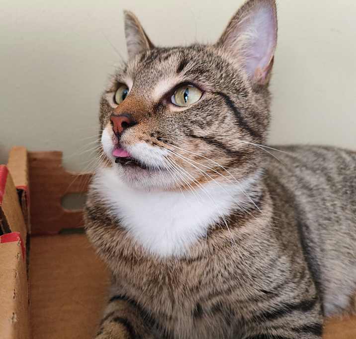 Photo of Hercules