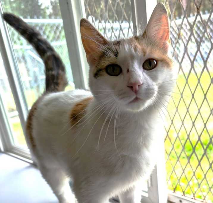 Photo of Maggie