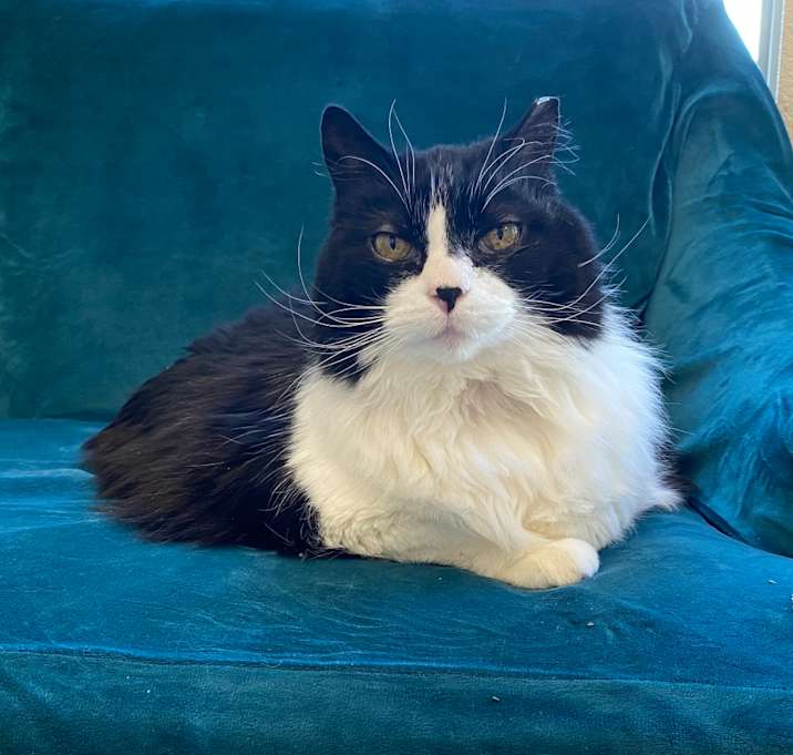 Photo of Ciao