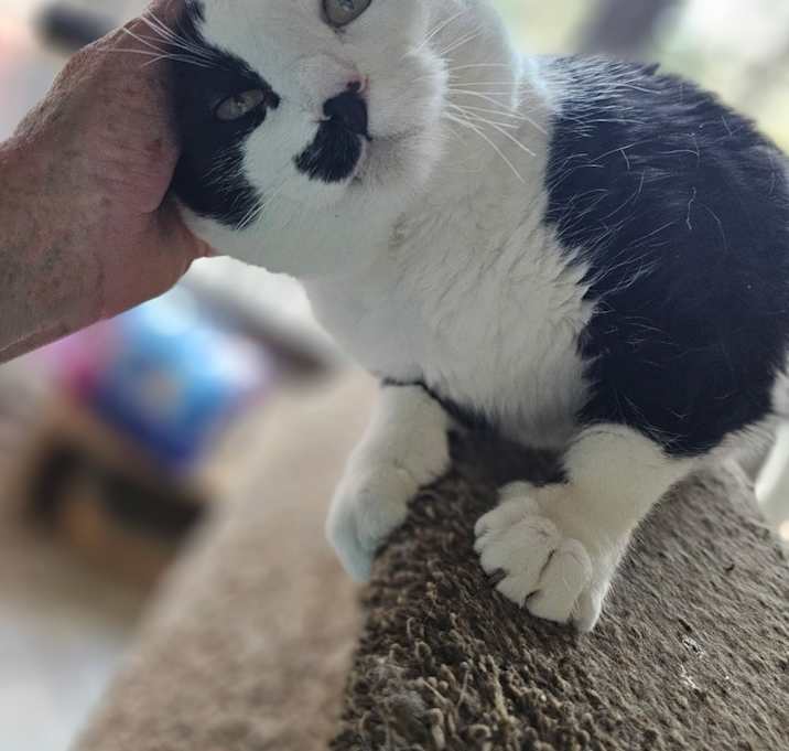 Photo of Giovanni