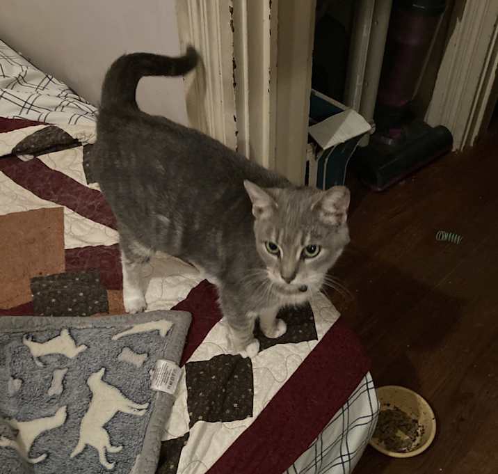 Photo of Girlie