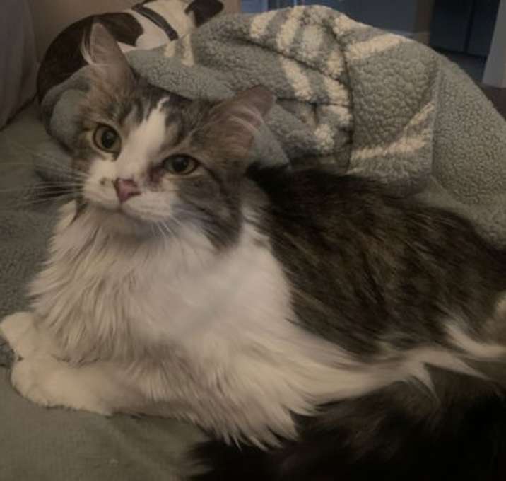 Photo of Dizzy