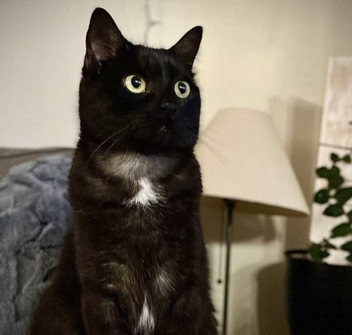 Photo of Suzie