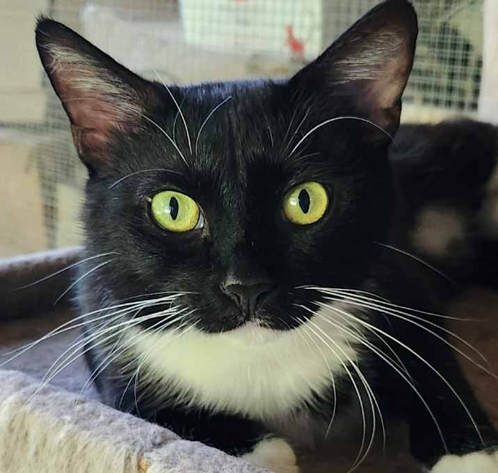 Photo of Poco