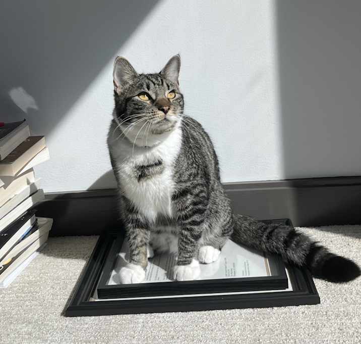 Photo of Zuko